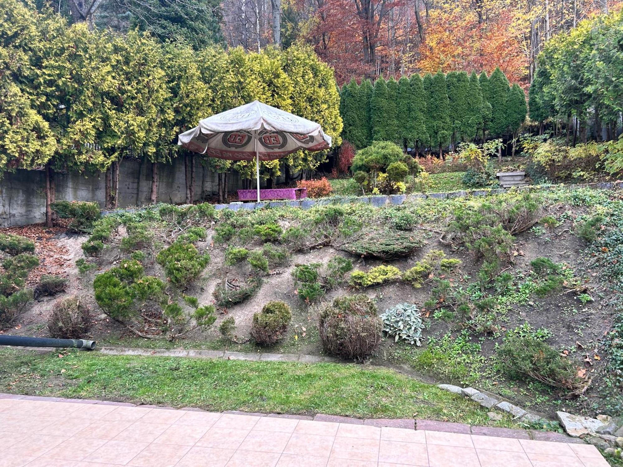 Safona Krynica-Zdrój